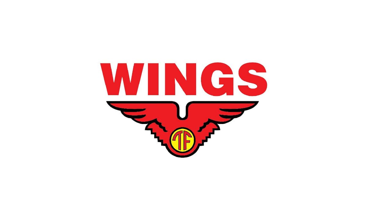 PT Aneka Mitra Gemilang (Wings Group)